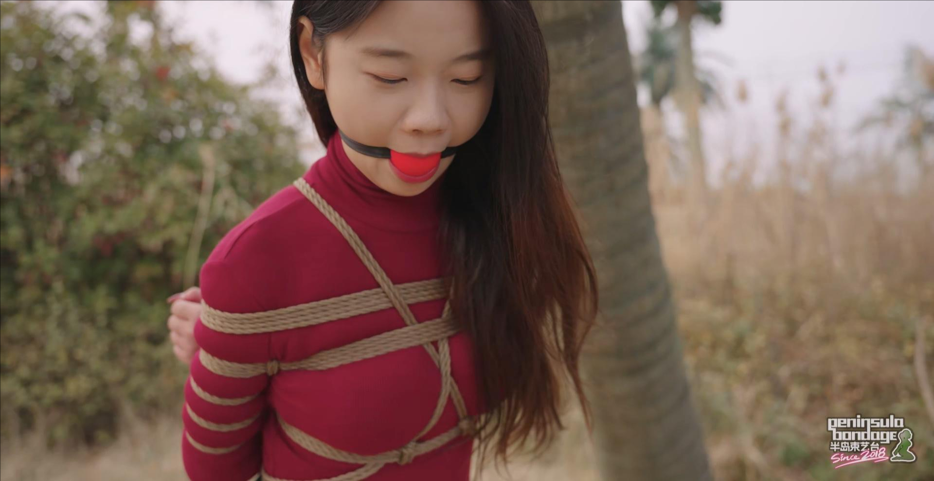 裁剪旋转 (4).jpeg