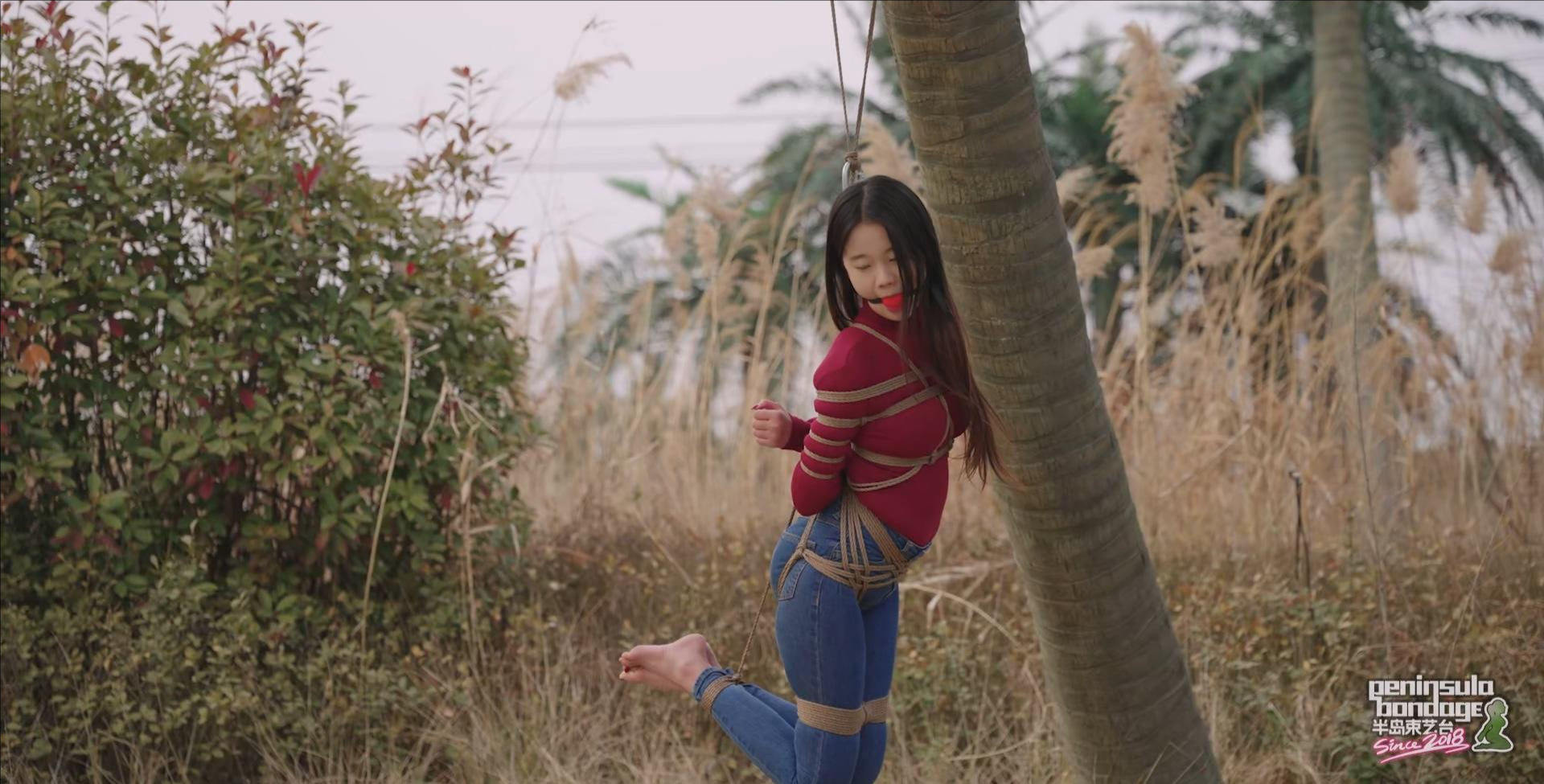 裁剪旋转 (5).jpeg