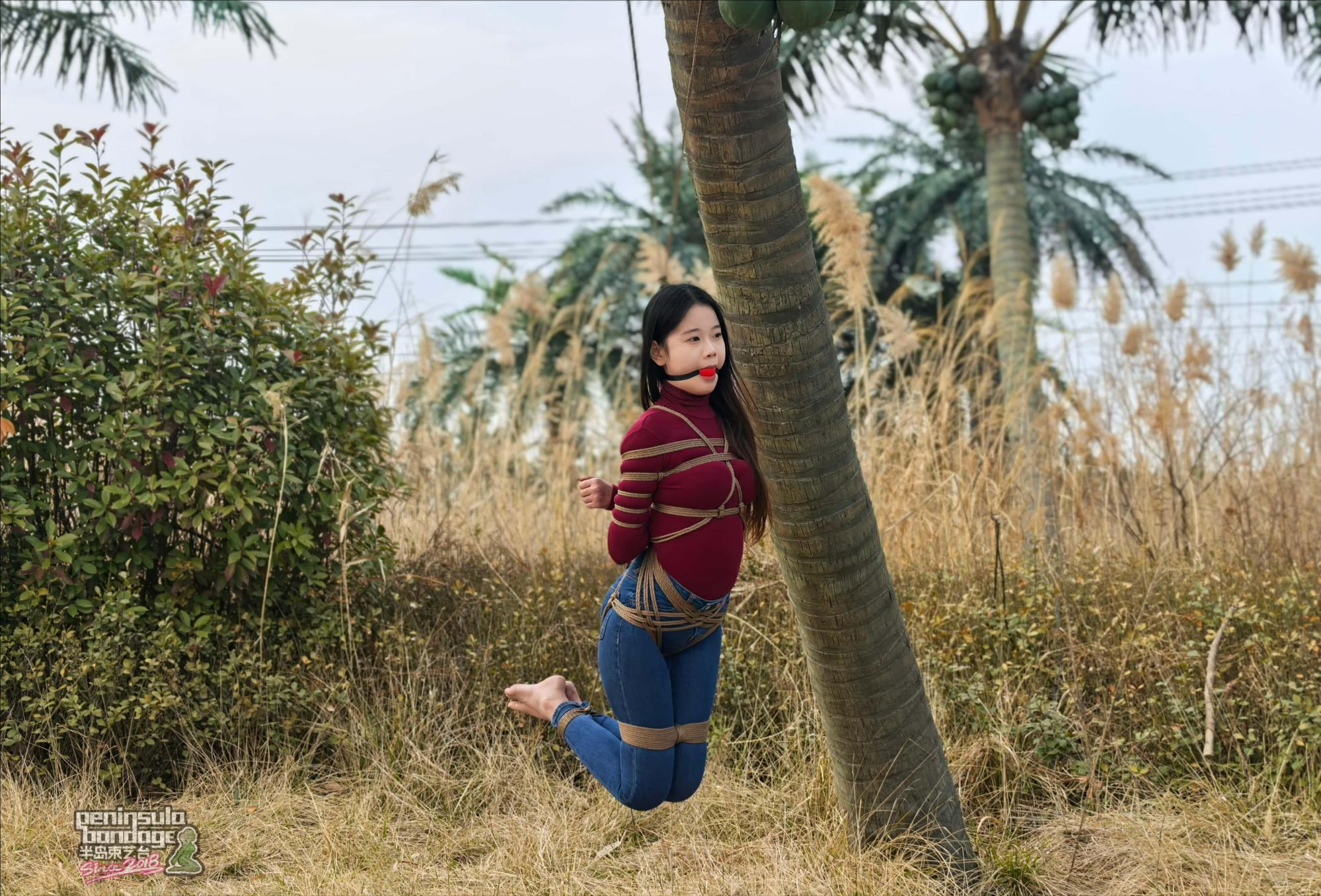 裁剪旋转 (1).jpeg