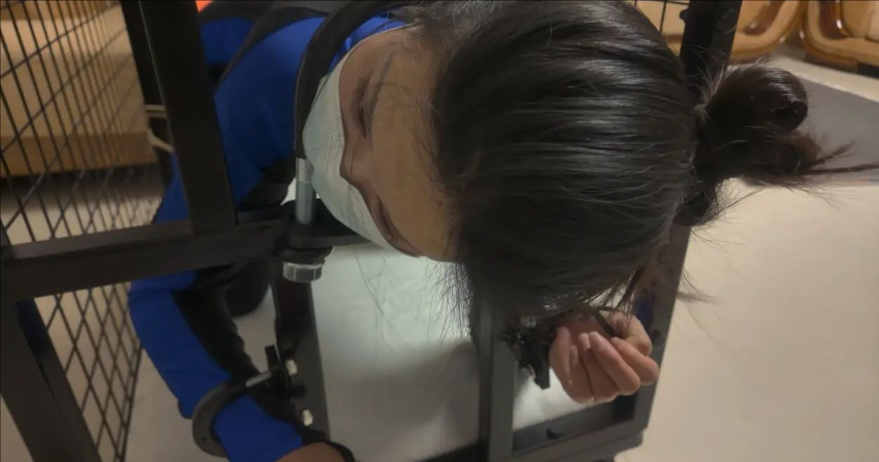 裁剪旋转 (10).jpeg