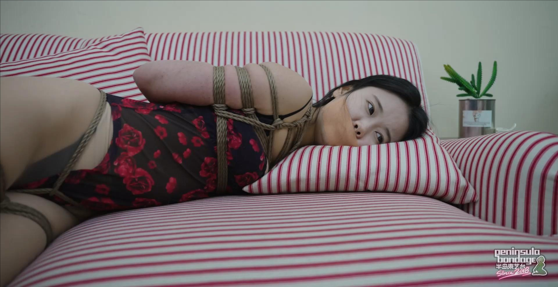 裁剪旋转 - 2026-03-30T100537.768.jpeg