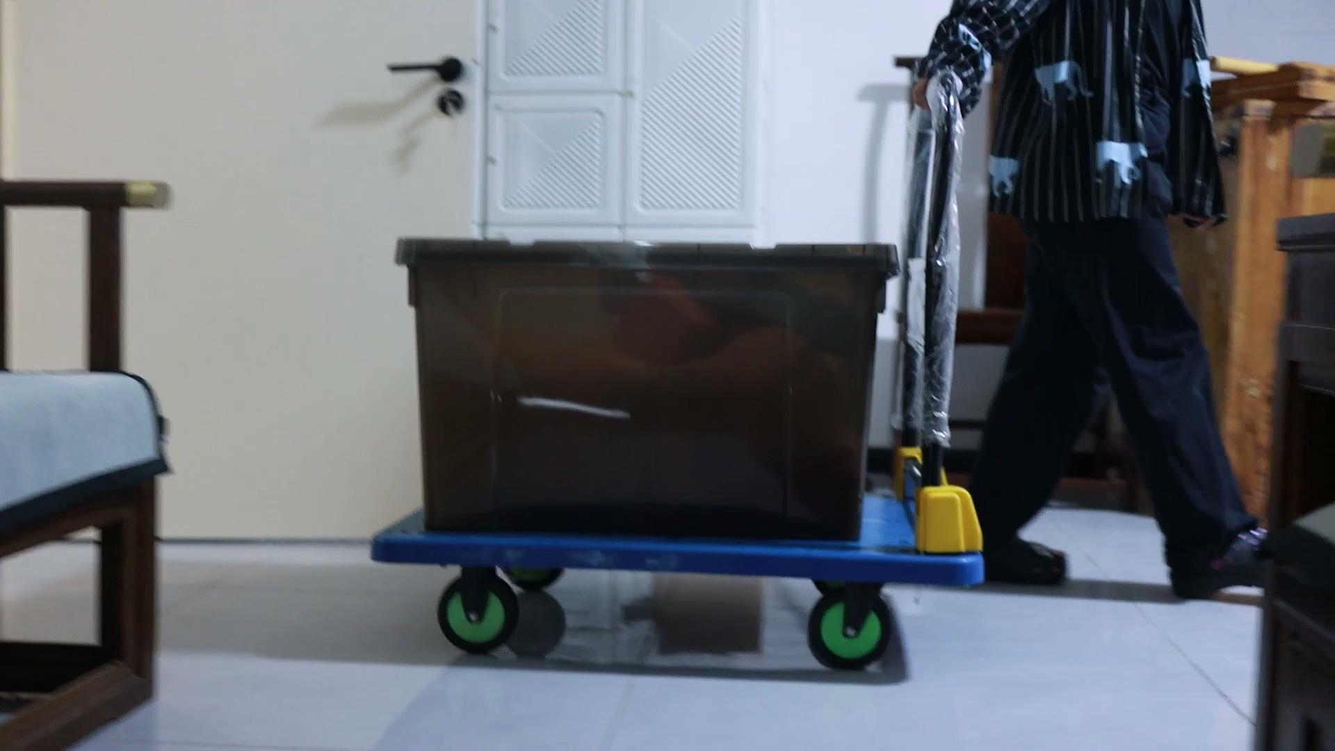 20260813_111846_19514.jpg